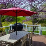 deck with umbrella and pink tree